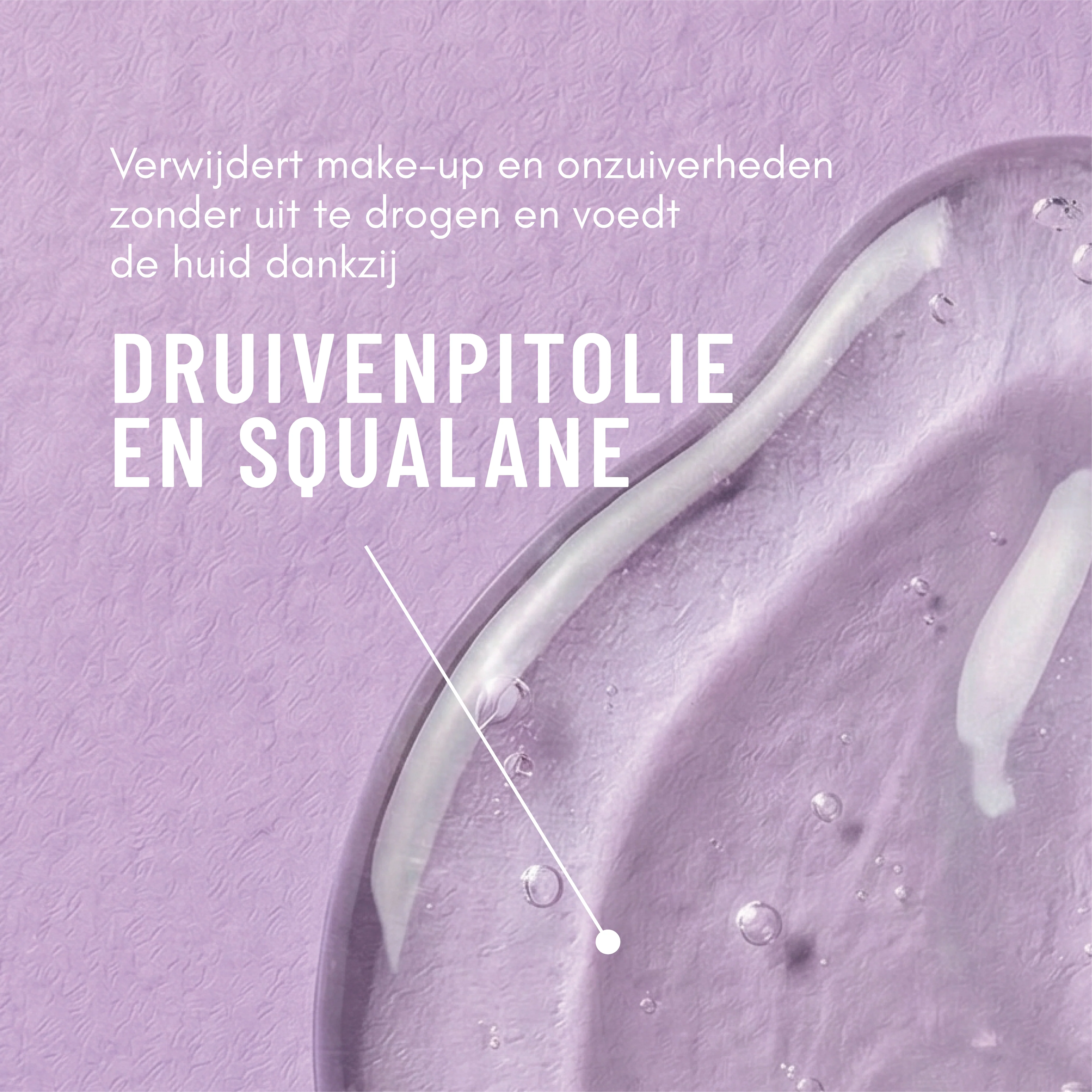 Miniatuur 3
